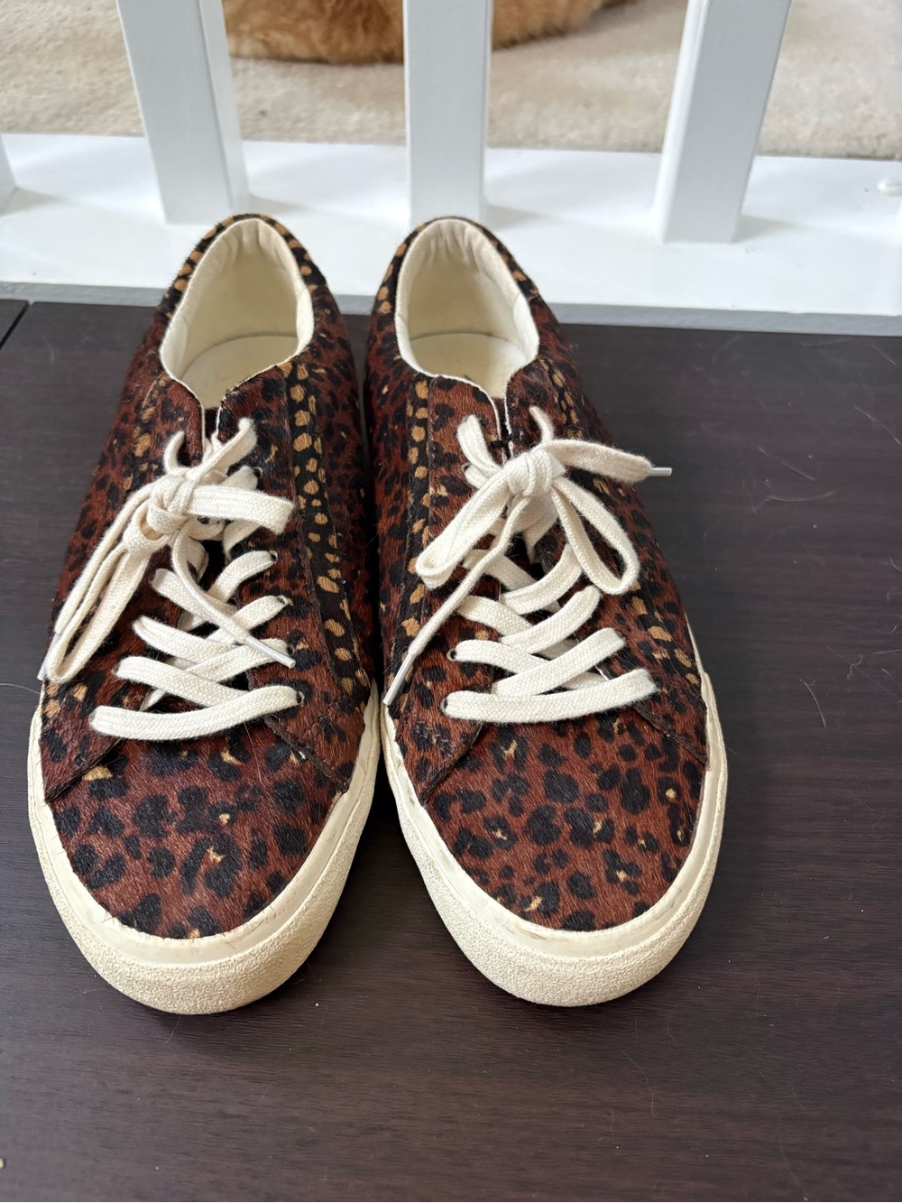 Madewell Leopard Print calf hair Sneakers